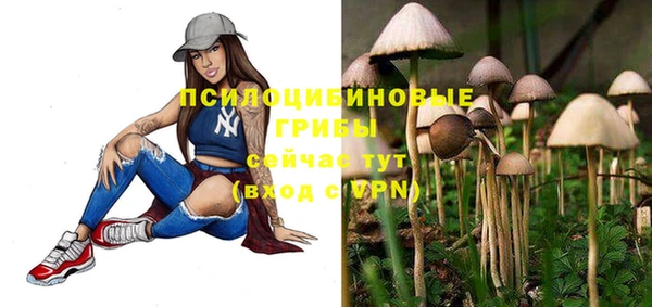 прущие крисы Армянск